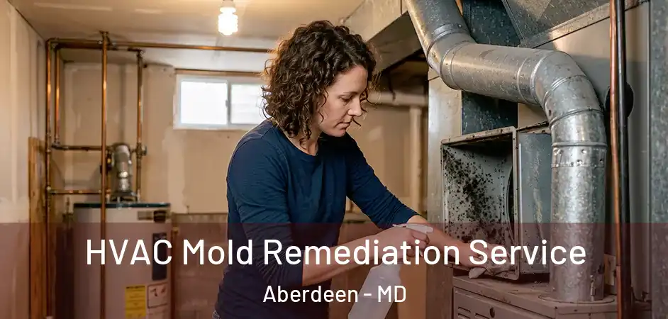  HVAC Mold Remediation Service Aberdeen - MD